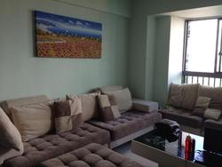 Blk 1C The Pinnacle@Duxton (Bukit Merah), HDB 4 Rooms #64056502